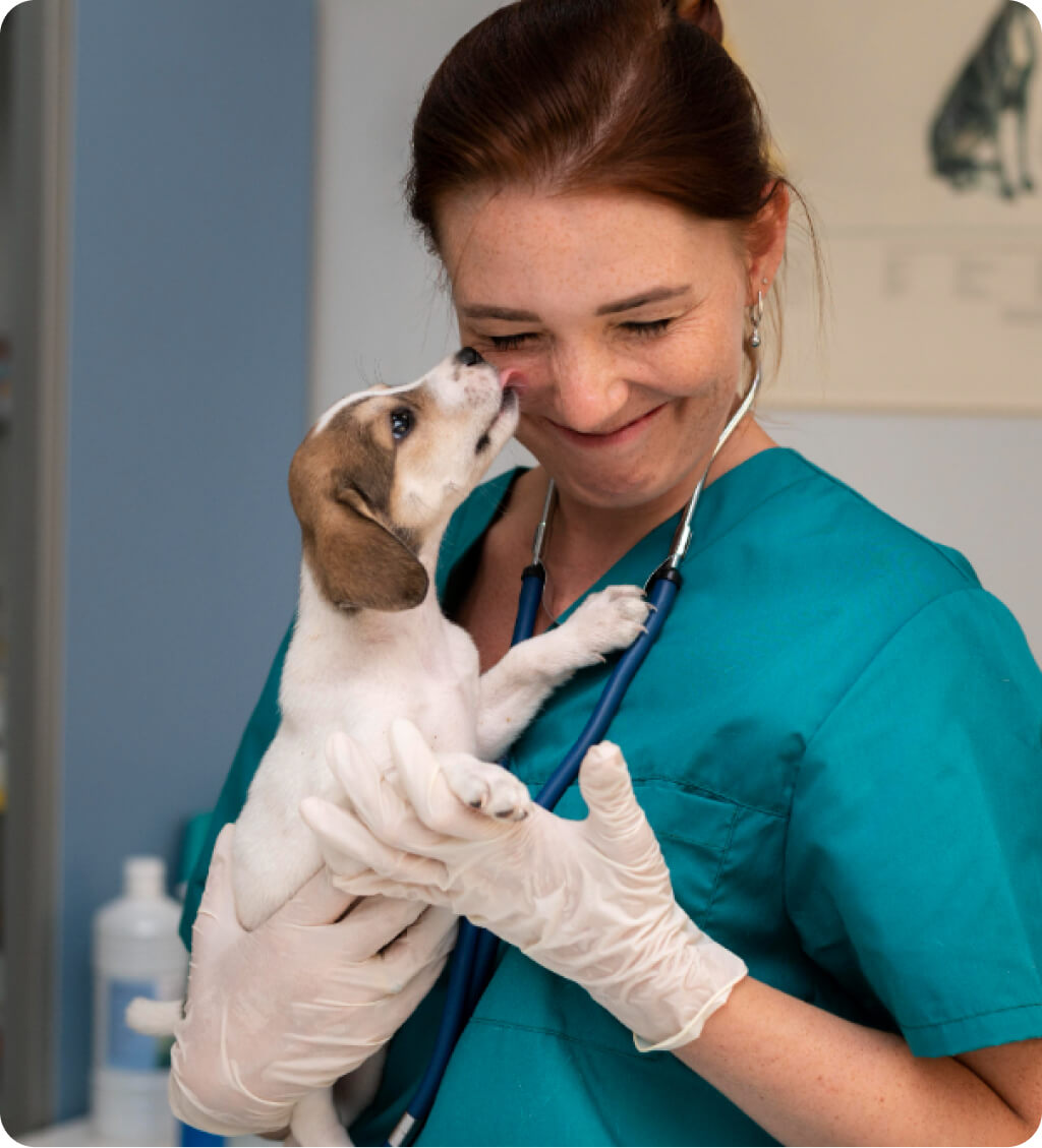 Ismerd meg a Vetty alapítóját